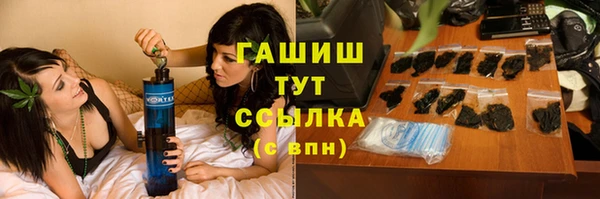 мдпв Гусь-Хрустальный