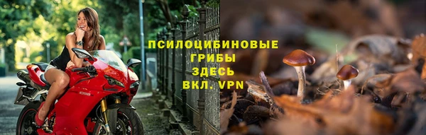прущая мука Гусев
