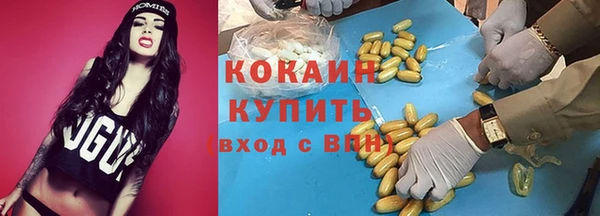 мдпв Гусь-Хрустальный