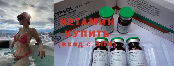 трава Гусиноозёрск