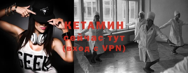 трава Гусиноозёрск