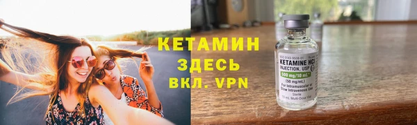 трава Гусиноозёрск