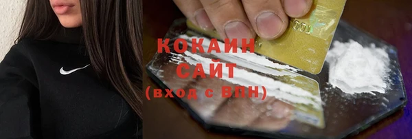 мдпв Гусь-Хрустальный
