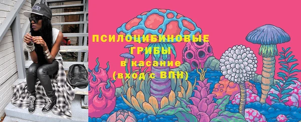 сатива Горняк