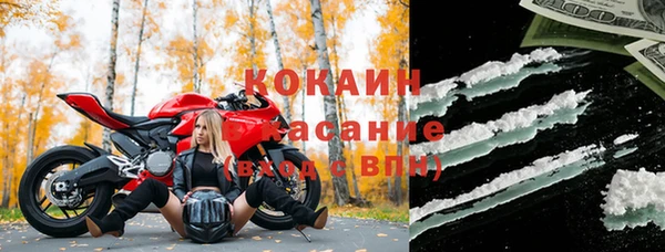 мдпв Гусь-Хрустальный