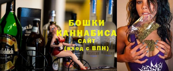 трава Гусиноозёрск