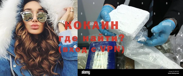 мдпв Гусь-Хрустальный