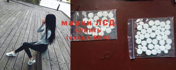 мдпв Гусь-Хрустальный