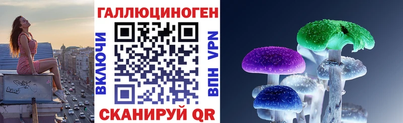 Купить  Мамоново  Псилоцибиновые грибы Psilocybe 